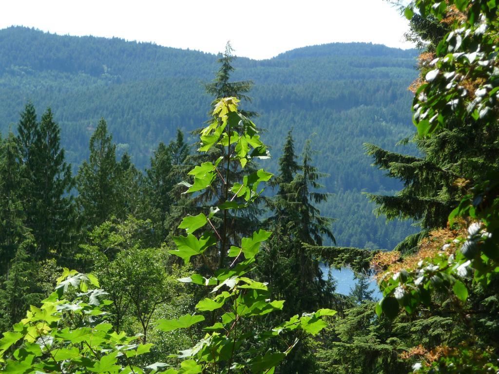 Bed and Breakfast Davis Brook Retreat Sechelt Exterior foto